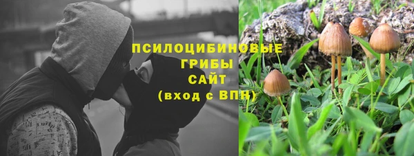 бошки Вязьма