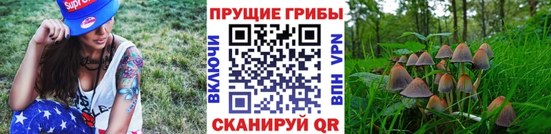 Псилоцибиновые грибы мухоморы  Купить закладки  Мышкин 